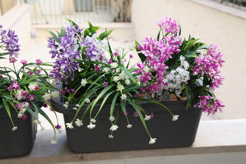 Due Passi Dal Borgo Antico Apartment บารี ภายนอก รูปภาพ